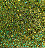 Black CBS Blue Gold 'Dew Drop' 90 COE Dichroic Glass - 5 sizes available!