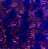 Black CBS Green Magenta Florentine 90 COE Dichroic Glass - 5 sizes available!