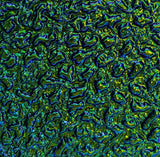 Thin Black CBS Matrix Emerald 90 COE Dichroic Glass - 5 sizes available!