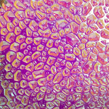 Clear CBS Magenta Green Dew Drop 90 COE Dichroic Glass - 5 sizes available!