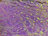 Clear CBS Emerald Green 'Ripple' 90 COE Dichroic Glass - 5 sizes available!