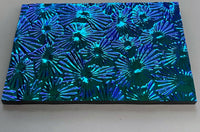 Black CBS Pink Teal 'Florentine' 90 COE Dichroic Glass - 5 sizes available!