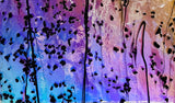 CBS Mardi Gras #4200 Rainbow #2 Frit Stringers 90 COE Dichroic Glass (Coating reversed)