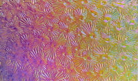 Clear CBS Rainbow #2 Florentine 90 COE Dichroic Glass