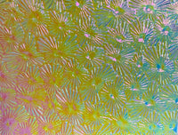 Clear CBS Rainbow #2 Florentine 90 COE Dichroic Glass