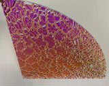 Quarter (1/4) sheet - CBS 3mm Clear 90 COE Figure C Magenta Green Dichroic Glass