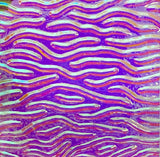 Clear CBS Magenta Green 'Stream X' 90 COE Dichroic Glass - 5 sizes available!