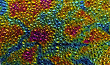 CBS Black Green Magenta Fusion Dew Drop 90 COE Dichroic Glass - Available in 4 sizes!