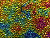 CBS Black Green Magenta Fusion Dew Drop 90 COE Dichroic Glass - Available in 4 sizes!
