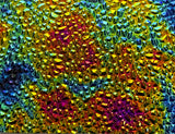 CBS Black Green Magenta Fusion Dew Drop 90 COE Dichroic Glass - Available in 4 sizes!