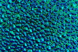 Black CBS Magenta Green Dew Drop 90 COE Dichroic Glass - 5 sizes available!