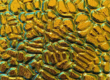 Black 3mm CBS Cyan Copper Figure C 90 COE Dichroic Glass - 5 sizes available!