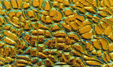 Black 3mm CBS Cyan Copper Figure C 90 COE Dichroic Glass - 5 sizes available!