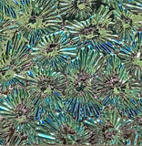 Black CBS Red Silver Blue 'Florentine' 90 COE Dichroic Glass - 5 sizes available!