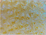 Thin Clear CBS Yellow Blue Florentine 90 COE Dichroic Glass - 5 sizes available!