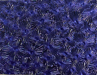 CBS Thin Black Violet Florentine 90 COE Dichroic Glass- 5 sizes available!