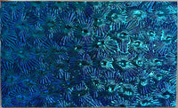 Black CBS Pink Teal 'Florentine' 90 COE Dichroic Glass - 5 sizes available!