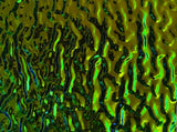 Black 3mm CBS Emerald Ripple 90 COE Dichroic Glass - 5 sizes available!