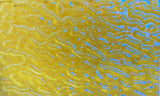 Clear Yellow Blue Ripple 3x3 90 COE Dichroic Glass- 5 sizes available!