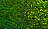 Black 3mm CBS Emerald Ripple 90 COE Dichroic Glass - 5 sizes available!