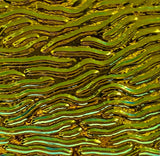 Black CBS Cyan Copper 'Stream X' 90 COE Dichroic Glass - 5 sizes available!