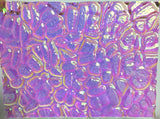 Clear 3mm CBS Emerald 'Figure C' 90 COE Dichroic Glass - 5 sizes available!